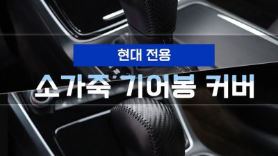 HG기어봉 ✨ 솔직 후기! 갈망 해소 & 특별 할인 찬스!